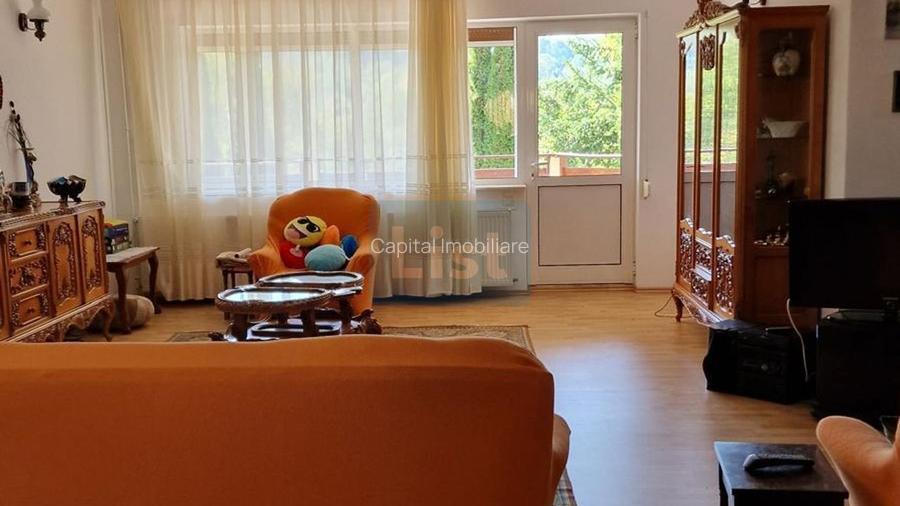 Vila spațioasă 5 dormitoare, Provita de Jos - 7