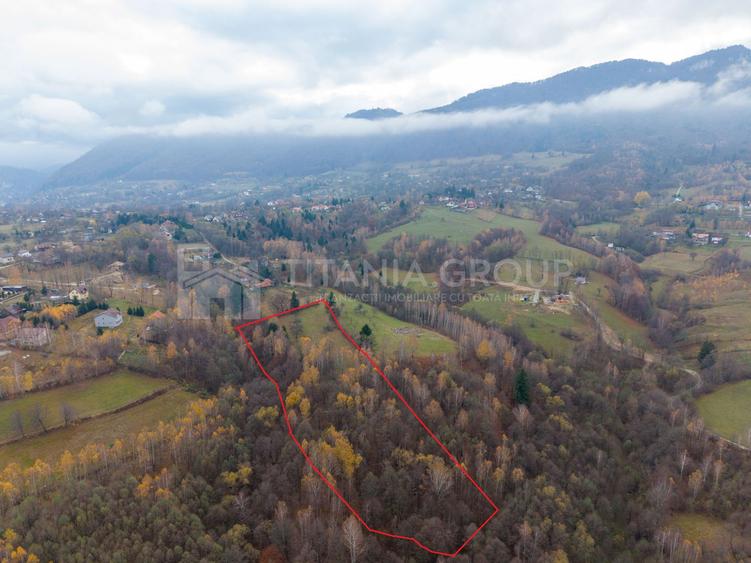 Teren intravilan, cu PUZ, Bran Tohanita, SE ACCEPTĂ ȘI SCHIMB