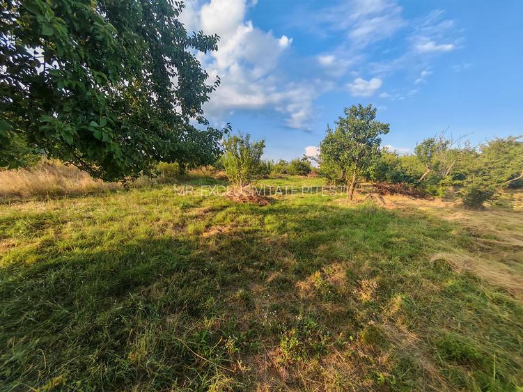 Teren intravilan 1.600 mp Mioveni – Zona Pruni - 6