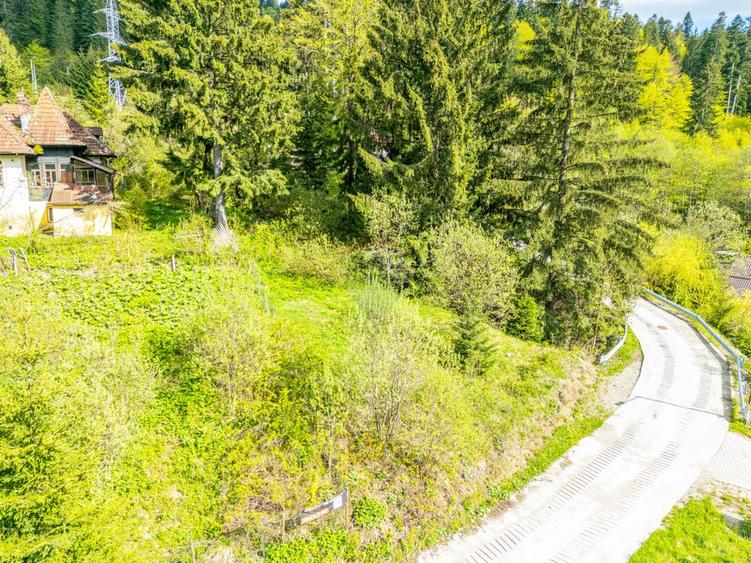 Teren Construibil 930 mp în Predeal – Lângă Pădure și Pârtia Clăbucet