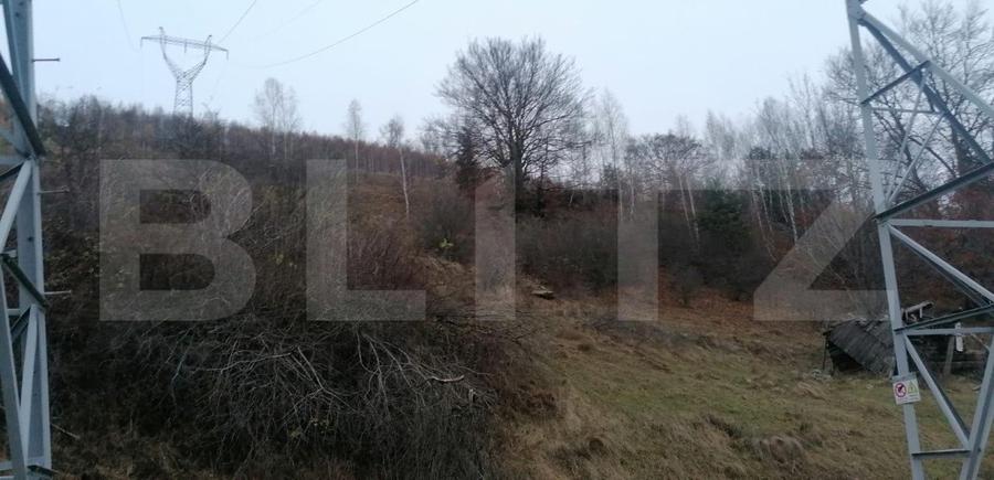 Teren 14 ha compact langa Lacul Tau Bistra
