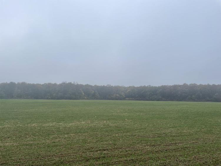 9400 mp | Ideal pentru investitie | Tunari | Deschidere la padure