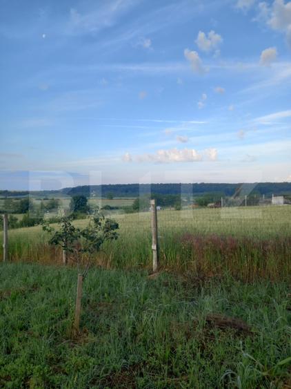 Teren intravilan, 4447 mp, 28 ml deschidere, Pielesti