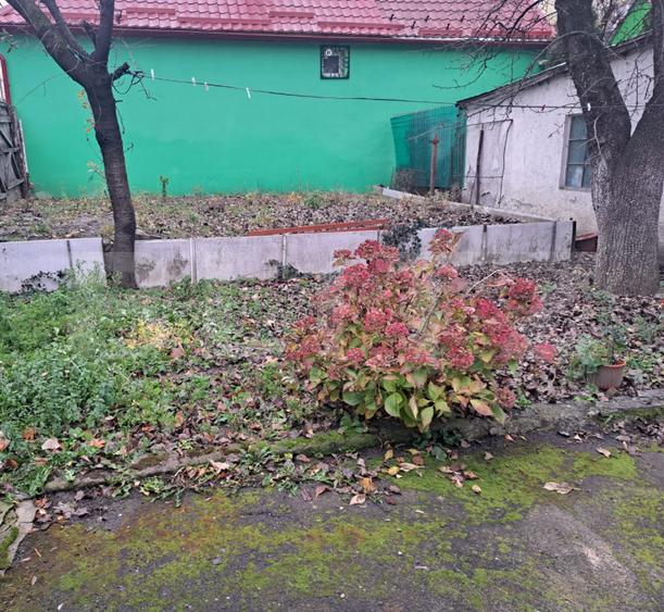 Casă cu Potențial în Brașov – Ideală pentru Locuință sau Afacere