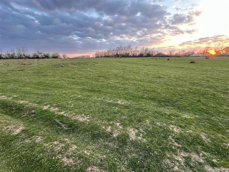 Bocsa Romana, 2 terenuri intravilan, 10.000 Mp.(59.900 Euro) si arabil, 80.000 M