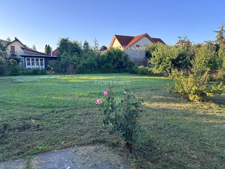 Casa 2 camere singur in curte - teren 900 mp - Sibiu - str. Nicolae Iorga - 15