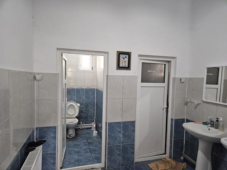 Vanzare amplasament industrial-servicii Tatarasti, Teleorman