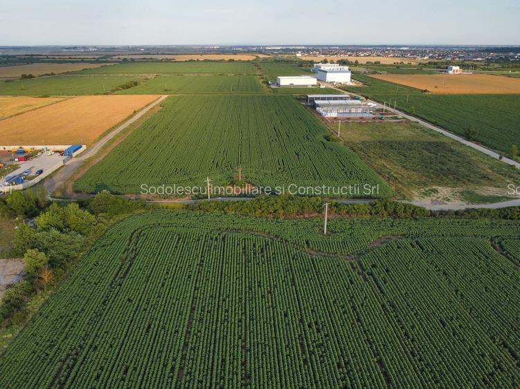 Teren ind 4.037 zona HAMILTON-HELLA_Giarmata - 13