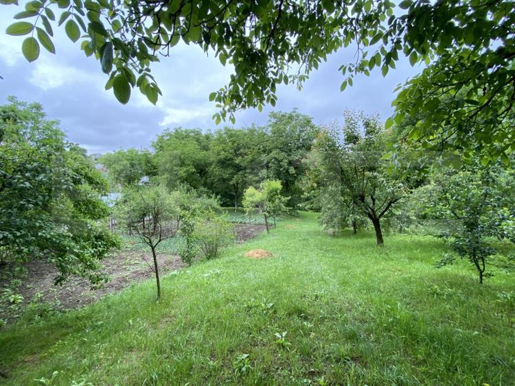 Proprietate speciala: Casa individuala 200 mp utili si 2550 mp teren, Oasului