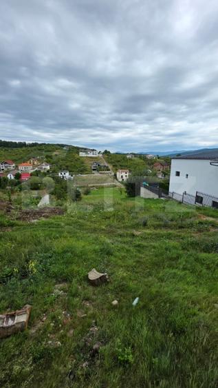 Casa cu 5 camere, 300 mp, teren 17 ari, Valea Rusului