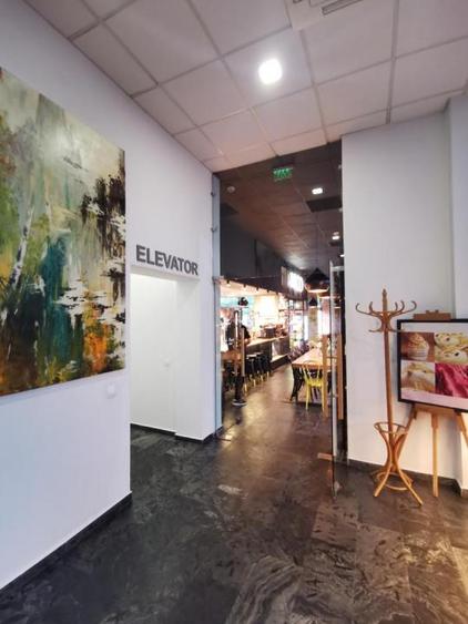 Herastrau exclusivist office 160mp