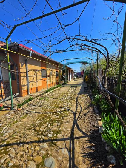 Casă 4 camere, 685 mp teren, renovată 2011 – Mănești, Zalhanaua