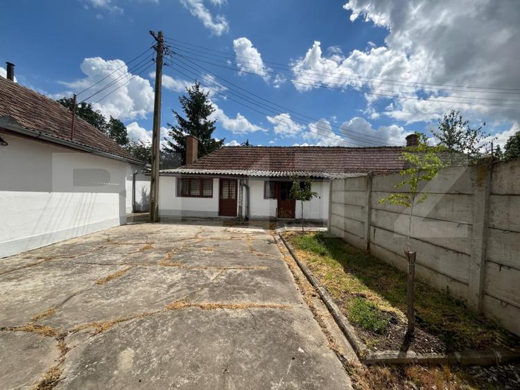 Ferma de bovine - oportunitate pentru investitori sau fermieri profesionisti