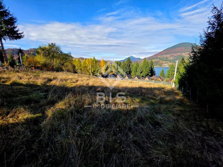 Teren de vanzare 12 ari - COLIBITA