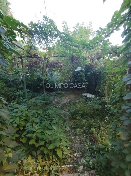 Casa-Curte proprie | Plantelor | - 15