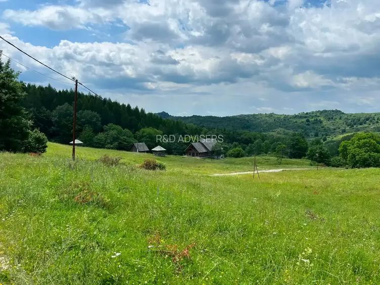 Proprietate cu potențial de dezvoltare – Breaza | Drumul Talii - 6