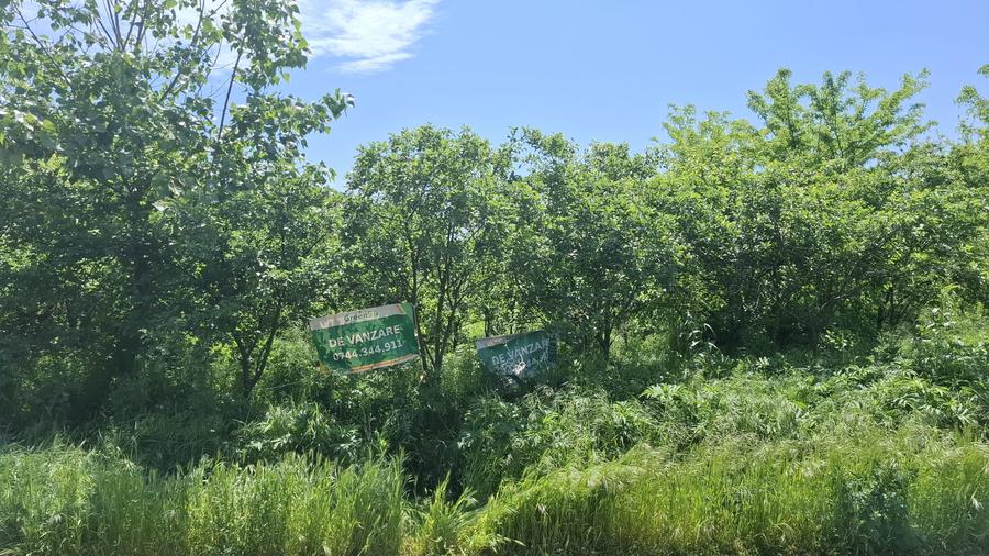 Com. Buturugeni, sat Posta, stradal DJ 412A, intravilan, 2720 mp