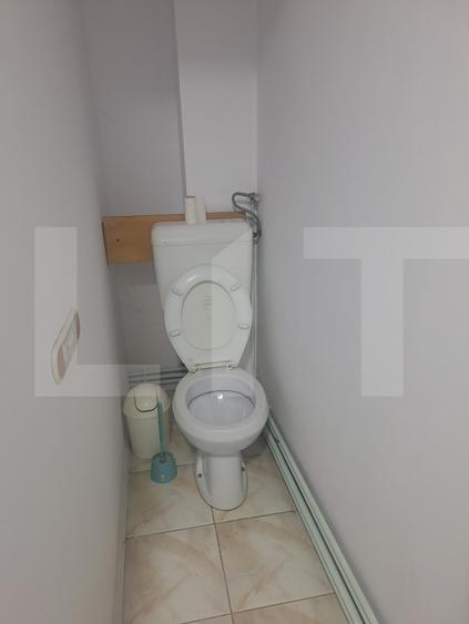 Penthouse, 110 mp, zona Lugoj