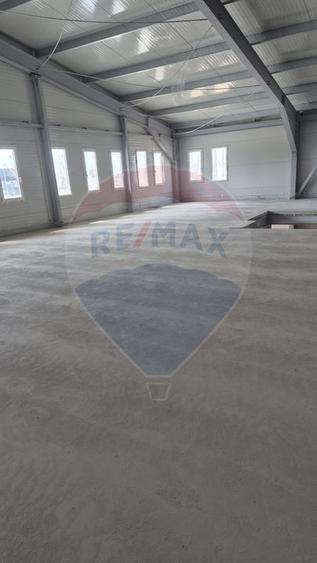 De inchiriat | Spațiu industrial Balotesti-Tunari-Aeroport Otopeni
