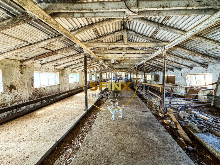 Teren intravilan cu potential de investitie 62000mp
