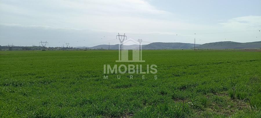 ‼️OPORTUNITATE DE INVESTIȚIE‼️ Teren Zona Ungheni | 44376 mp