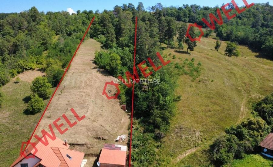 Casă familială de vânzare în Dalnic! - 2