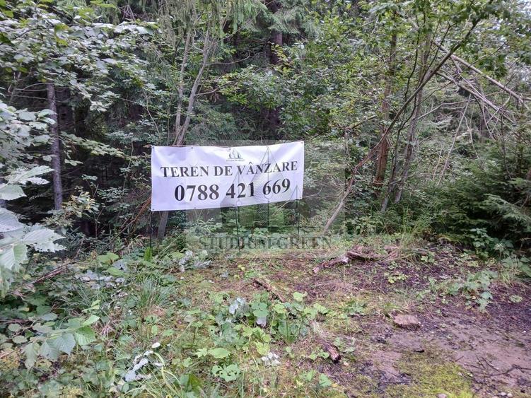 Vand 7000 mp teren intravilan in Predeal- Cioplea- turism