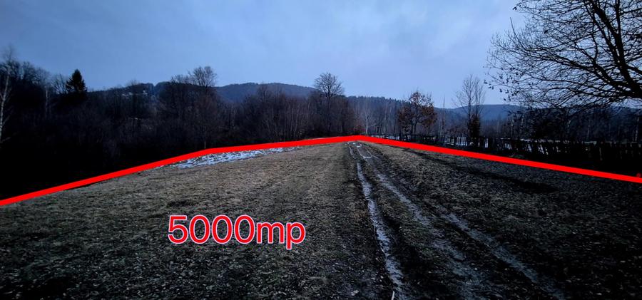 Teren 5000 mp, pretabil cabana de weekend, Sinca Noua