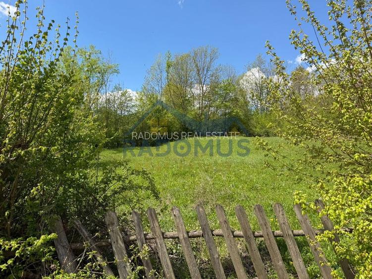Teren Intravilan  – Provița de Jos | 1.939 mp | Curent electric - 6