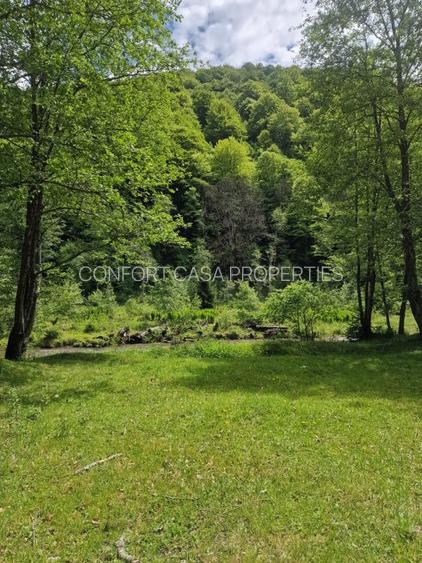 Teren intravilan - Rucar - Satic - 1775 mp - la strada principala - deschidere - 4