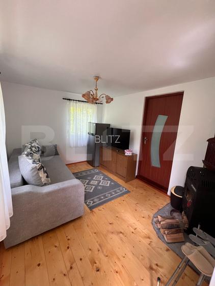 Casa de vacanta cu 4 camere, 1470 mp teren, Sugag - 2