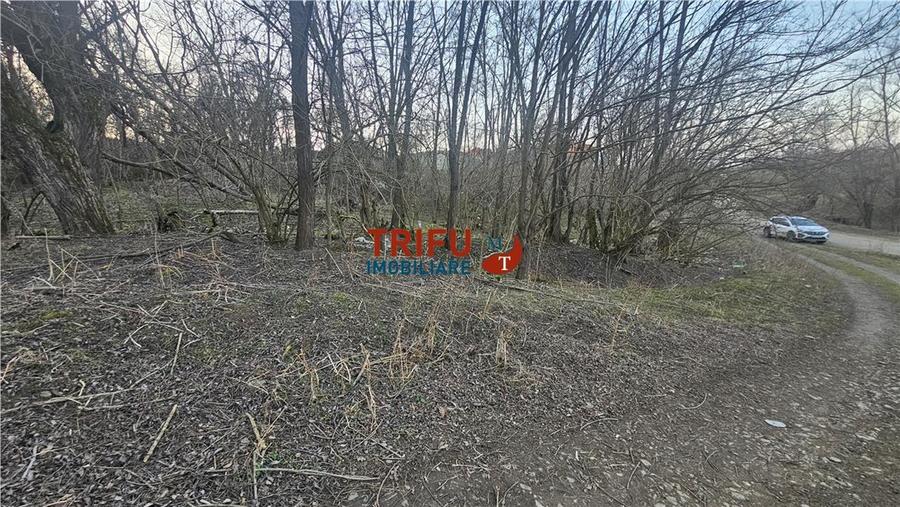 Teren Intravilan de Vânzare în Oarda