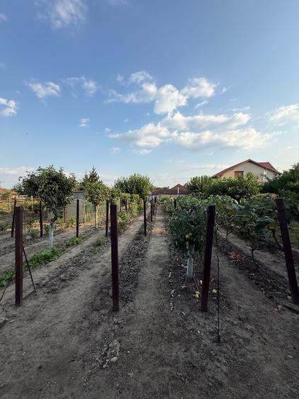 Casă 153 mp + teren 1.419 mp | Complet mobilată | Vânători, Vrancea