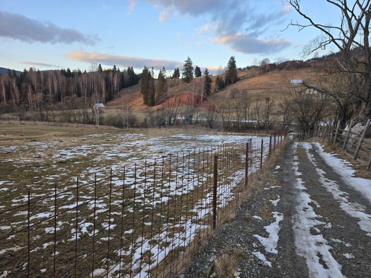 Teren 2,000mp Dorna-Arini / Strada COZANESTI