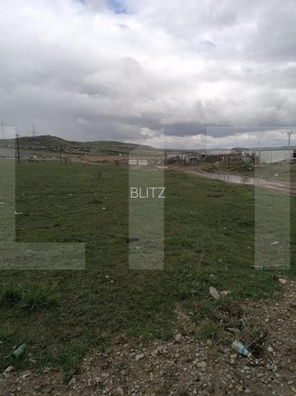 Teren Intravilan pentru constructii hale 7186 mp, zona centurii Emerson - 2