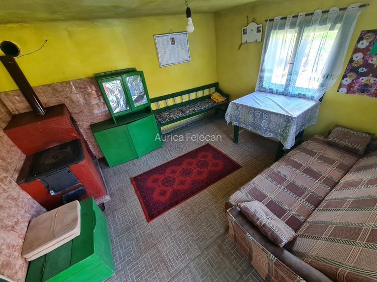 Proprietar vand casa+ teren 13000mp, Steia, Tomesti, jud. Hunedoara, 20km de Bra - 9