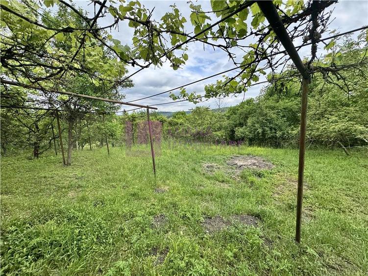 Casa individuala de vanzare in Nucet | Rosia | teren 1526 mp | livada, pivnita