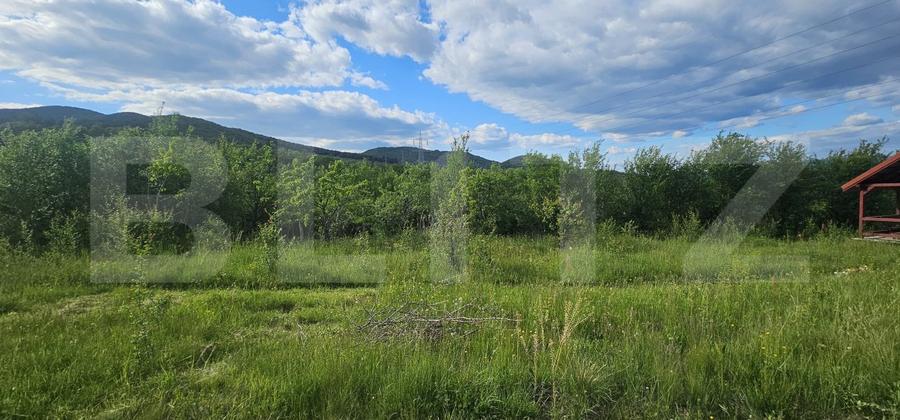 Teren cu priveliște panoramică, de vanzare, 1281 mp, zona Caprioara