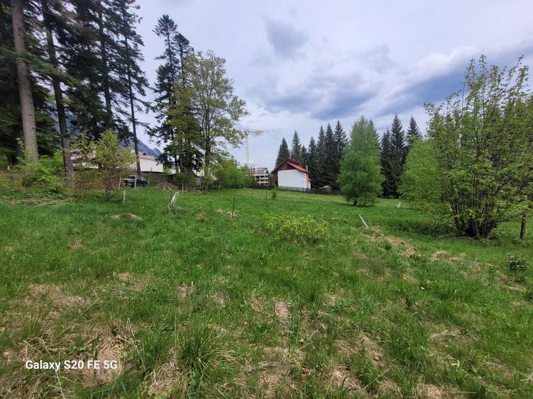 Teren intravilan de vanzare in Busteni