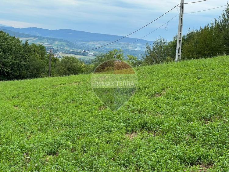 Teren 5600mp | Copalnic-Manastur TOATE UTILITATILE PE PROPRIETATE - 6