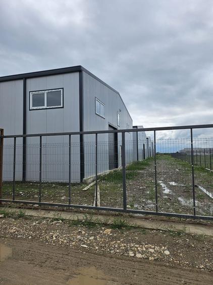 Hale noi 2026 AFUMATI ( Moara Domneasca ) 2300 Euro