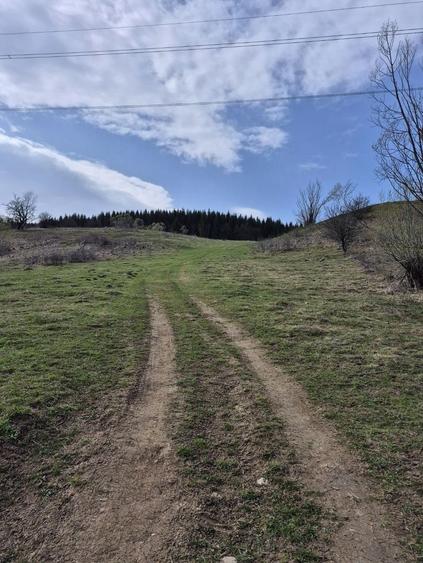 Teren intravilan la baza pădurii Valea Doftanei sat Traisteni (poduri)