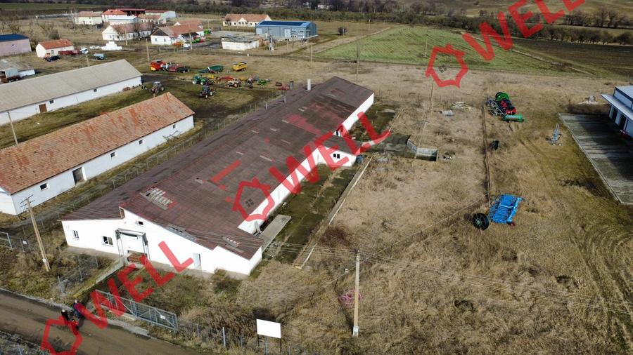 Clădire industrială de vânzare pe DN12!