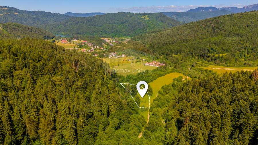 Teren 6000mp Sacele -zona Brădet/ Intravilan/ COMISION 0%