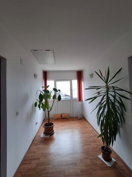 Vila P+1 Ploiesti - Paulestii Noi