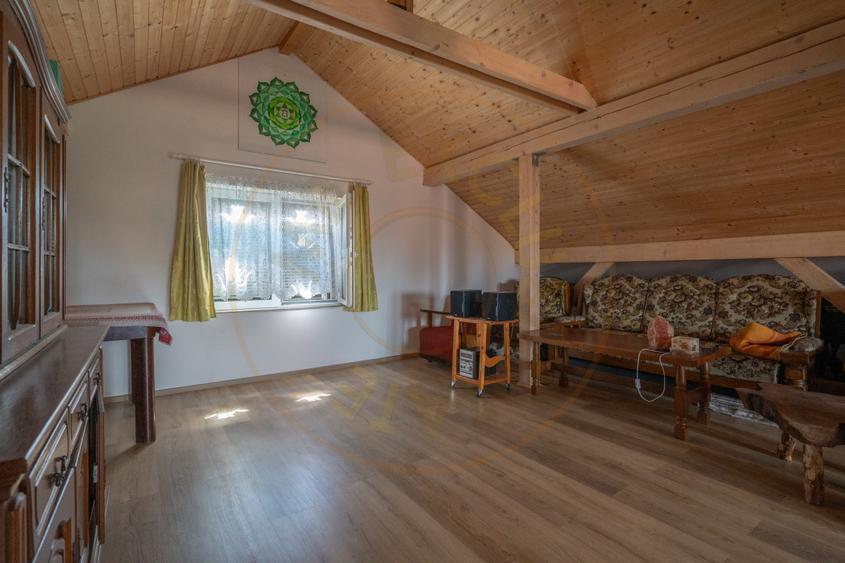 De Vânzare Casă Vânătorilor 9 ari teren