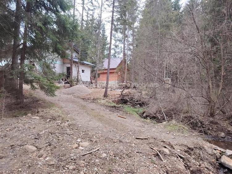 Casa de vacanta nefinalizata (Borzont) - 13