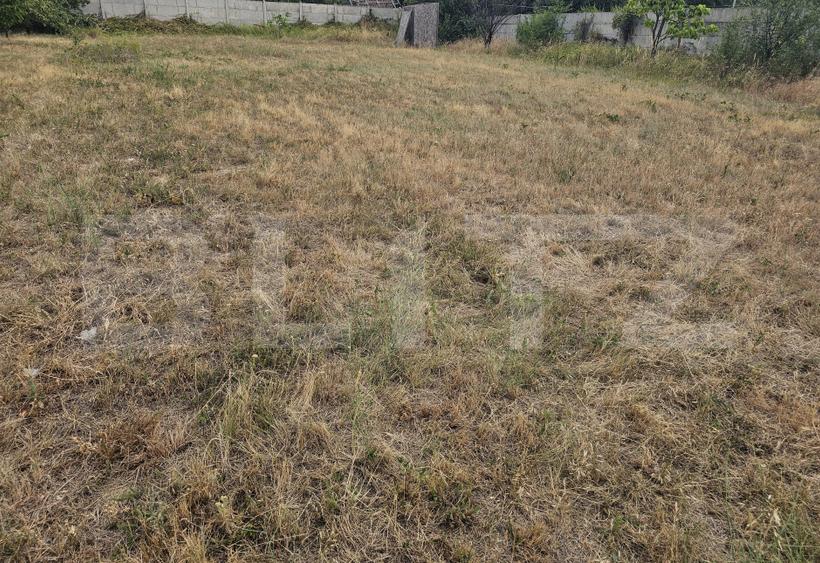 Teren intravilan 762 mp in Carcea