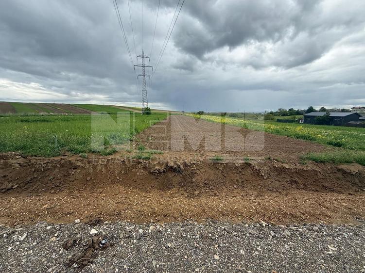 Teren Burdujeni | Zona Tarinca | 41 Ari