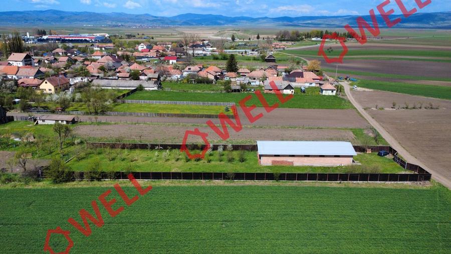 Hală industrială de vânzare în Târgu Secuiesc, pe strada Kanta!
